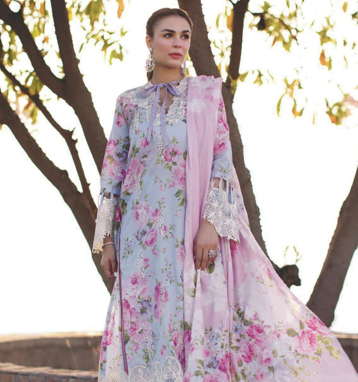 Premium Chikankari Collection
